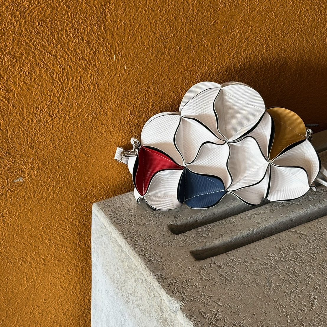 S__13131782 S__13131782